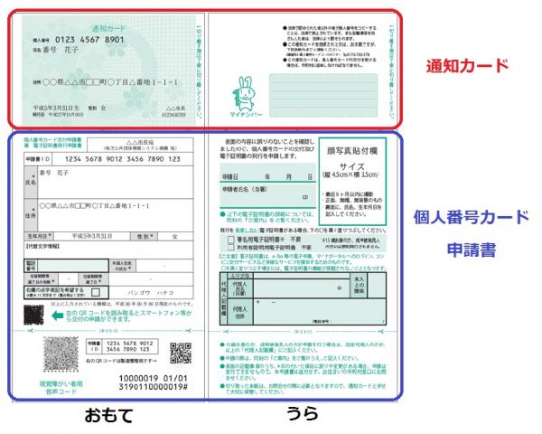 申請 写真 ナンバーカード マイ マイナンバーカードの写真サイズ