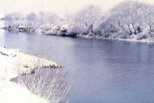 利根川との合流点付近