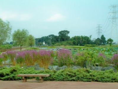 利根親水公園