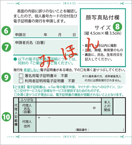 w\ijx̉摜