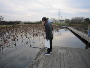 『親水公園（合同ゼミ）』の画像