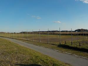 緑地公園