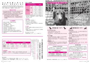 広報9月号P16-17