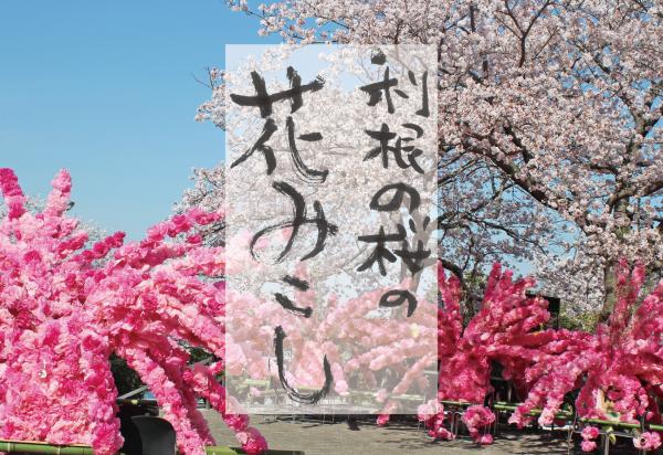 『利根の桜の花みこし』の画像