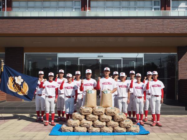 『ウェルネススポーツ大学野球部』の画像