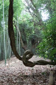 サンプル画像