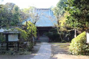 サンプル画像