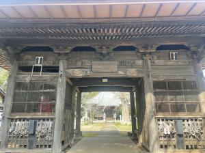 サンプル画像
