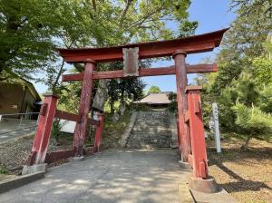 サンプル画像