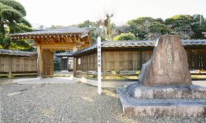サンプル画像