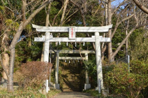 サンプル画像