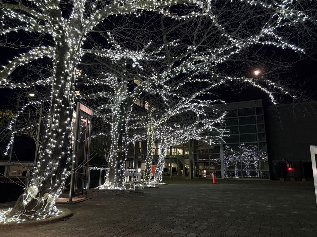 役場イルミネーション