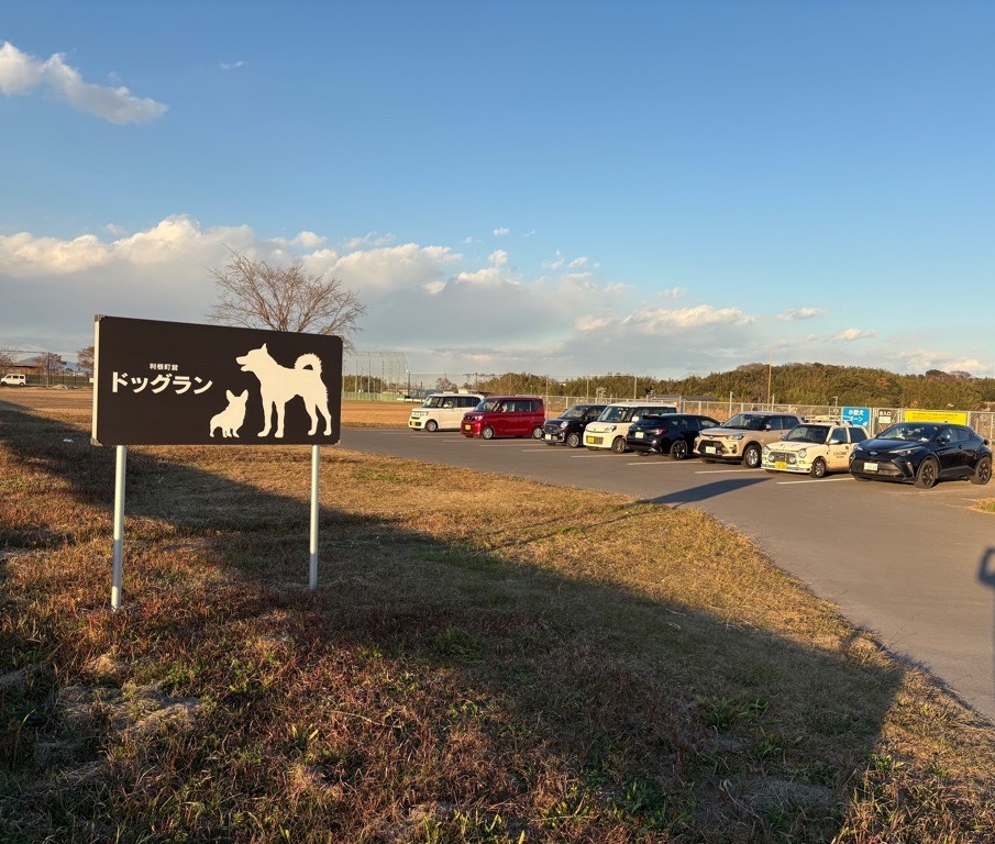 利根町営ドッグラン(3)
