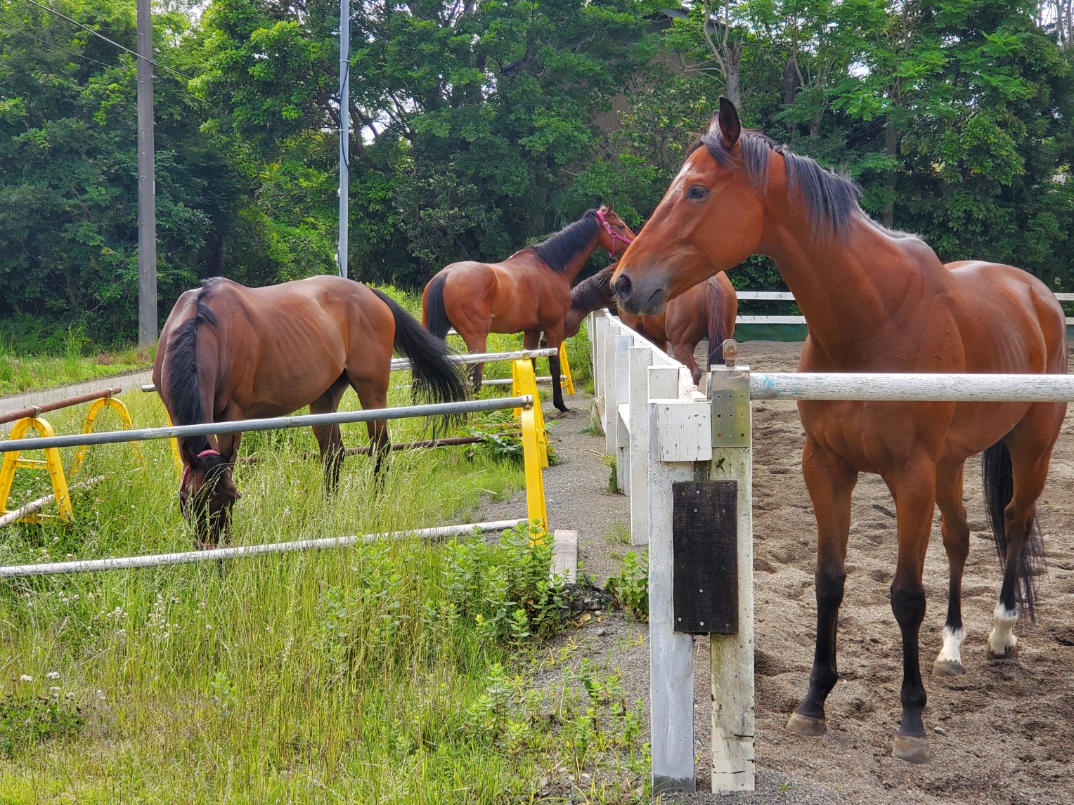 利根リバーサイドクラブ(1)