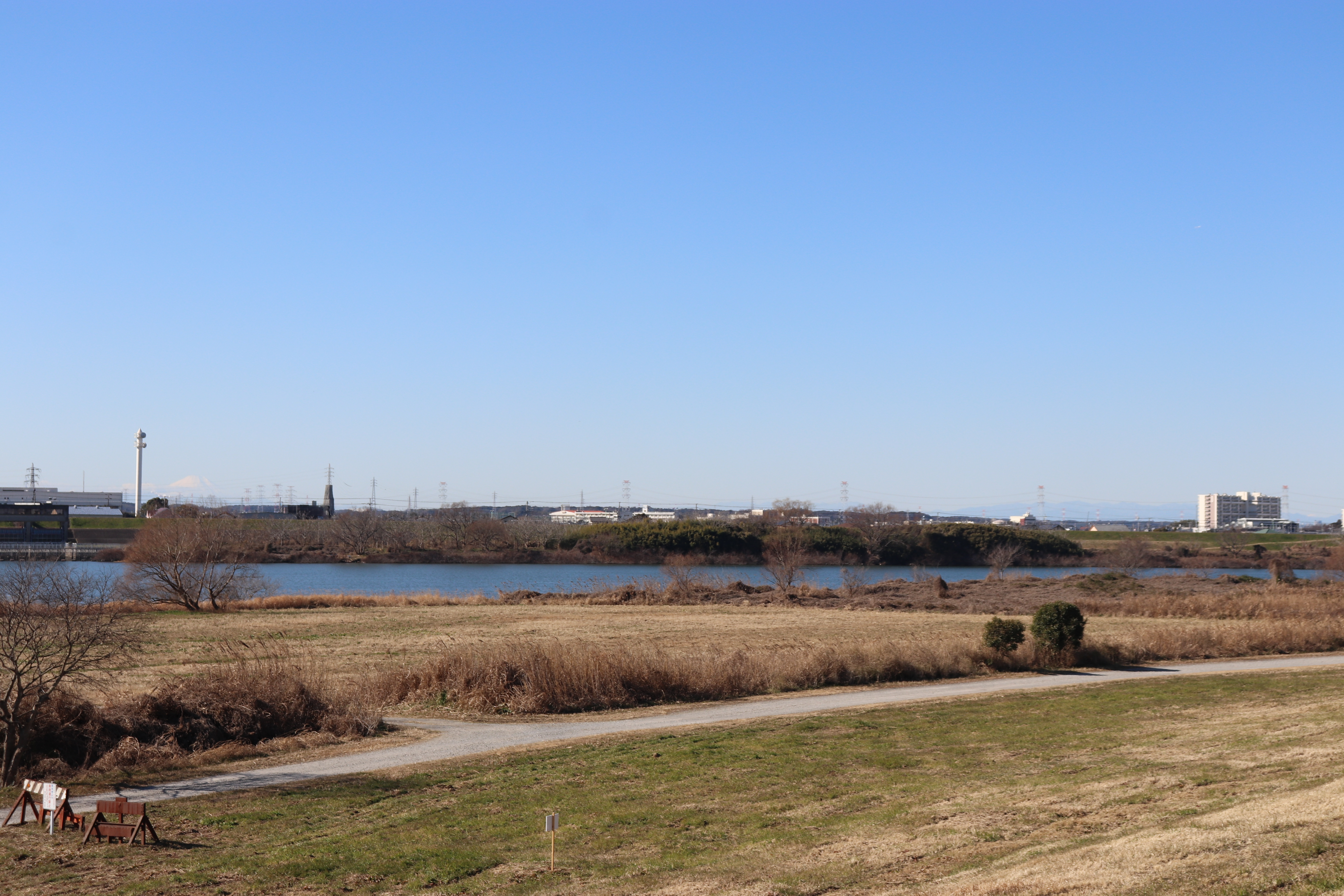 土手から広がる利根川風景
