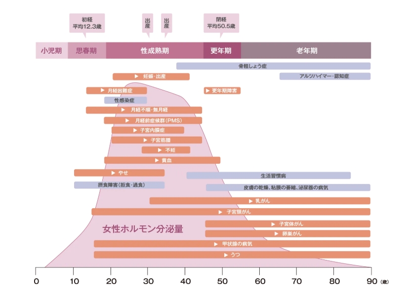 女性のホルモンバランスグラフ