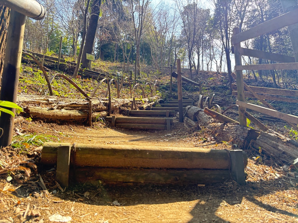 大平野生植物園(4)