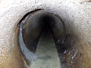 汚水管(工事前)