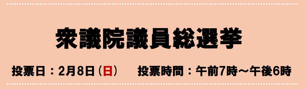 衆議院議員総選挙をピックアップ